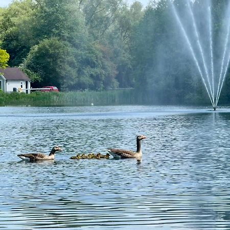 Luxury Kingfisher Lodge, Isis Lake, Within The Cotswold Waterpark Cirencester Kültér fotó