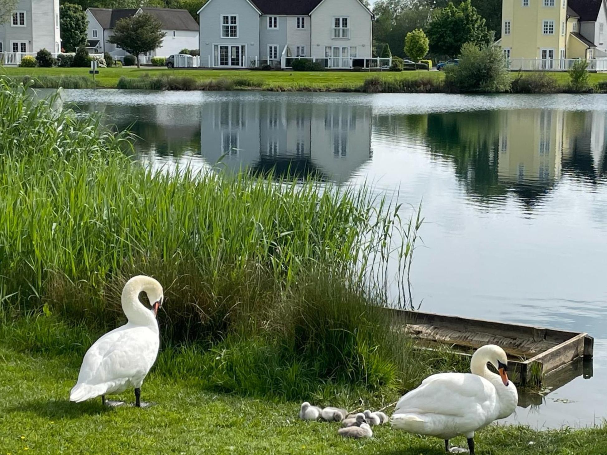 Luxury Kingfisher Lodge, Isis Lake, Within The Cotswold Waterpark Cirencester Kültér fotó