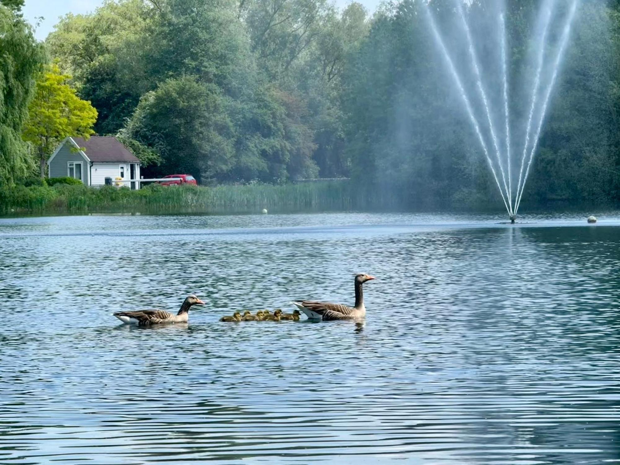 Luxury Kingfisher Lodge, Isis Lake, Within The Cotswold Waterpark Cirencester Kültér fotó